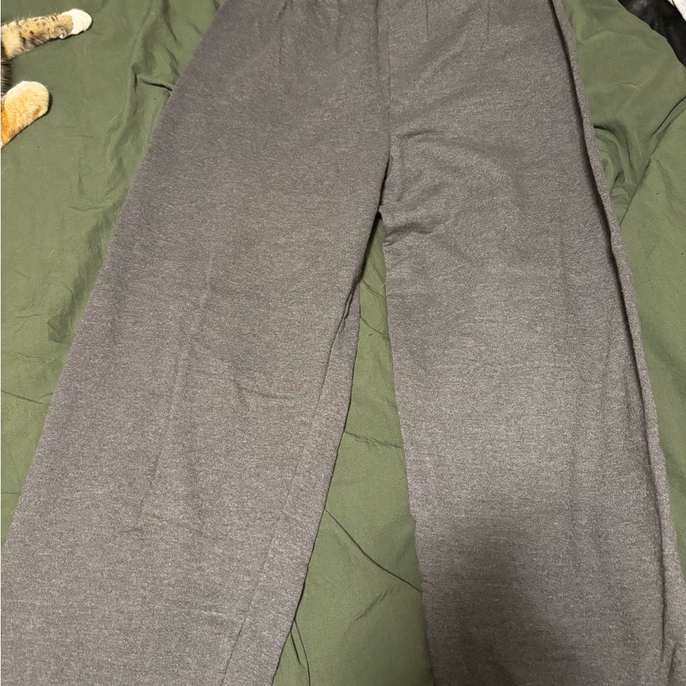 Hanes Men's Charcoal Gray Sweatpants